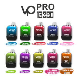 Envio direto do armazém no exterior Vários sabores vape VP PRO 13K