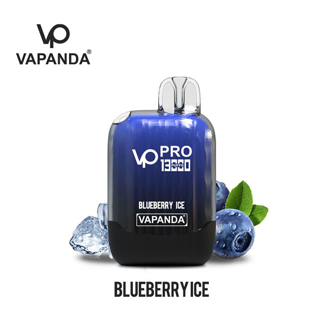 Envio direto do armazém no exterior Vários sabores vape VP PRO 13K